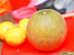 What is the best tasting cantaloupe? How To Buy A Cantaloupe 10 Steps With Pictures Wikihow