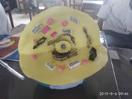 Maybe you would like to learn more about one of these? Pembuatan Model Sel Hewan Dan Sel Tumbuhan Blog Pak Pandani