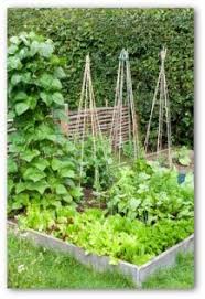 Small Vegetable Garden Plans And Ideas Jardin Potager Jardinage Jardins