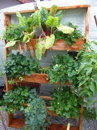 Pflanztreppe Selber Bauen Furs Vertical Gardening Pflanztreppe Asiatischer Garten Und Pflanzen