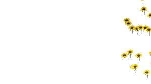 Hd wallpapers and background images. Via Giphy Transparent Background Flowers Background