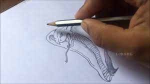 Snake Pencil Drawing Timelapse Cobra Pencil Drawing Youtube I had fun experimenting with this video, and hopefully you'll enjoy. snake pencil drawing timelapse cobra pencil drawing