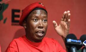 Julius malema will never start his own political party despite being kicked out of the anc, the expelled anc youth league president said. Julius Malema Quotes Political Analysis South Africa