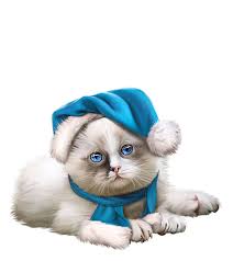 Tubes Pinup Png Per Grafica Page 12 Gatti Carini Illustrazioni Di Gatto Amanti Dei Gatti