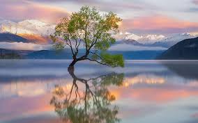 Image result for ‫تابستان‬‎