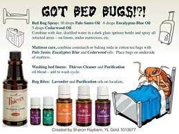 Bed Bug Spray Cedarwood Oil Pest Control