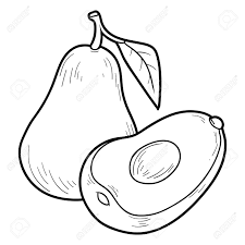For the color, see avocado (color). Coloring Book Game For Children Fruits And Vegetables Avocado Royalty Free Cliparts Vectors And Stock Illustration Image 43302869