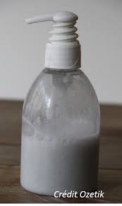 Savon Pousse Mousse Pour Toute La Famille Cosmetiques Faits Maison Produit Menager Maison Pousse Mousse
