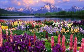 The link below will take you to the epitv channel at youtube.com where you can see several more 'how to videos ', bloom pictures/video most with pleasant background music, garden tours, flower shows, epicon conferences, various other garden events and a lot more!!! Free Download Flower Landscape 2880x1800 For Your Desktop Mobile Tablet Explore 47 Flower Landscape Wallpaper Purple Landscape Wallpaper Spring Computer Wallpaper Landscapes Landscape Hd Wallpapers 1080p
