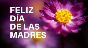 Este 10 de mayo se celebra el día de la madre en méxico y resulta imposible no recordar el célebre poema de quico en la vecindad de el chavo del 8. Como Se Celebra El Dia De Las Madres En Mexico Un1on Puebla