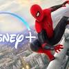The mighty ducks and remember the titans are other great sports movies. Https Encrypted Tbn0 Gstatic Com Images Q Tbn And9gcrqcg6os Uivxdnyyceil74s2e9junhlrjhvqhn8gr1ywd214tv Usqp Cau