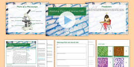 We did not find results for: Animal And Plant Cells Ks3 Cells And Organisation Beyond