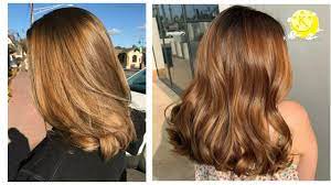 Warna cokelat yang dihasilkan cat rambut jenis ini tidak terlalu terang atau terlalu gelap. Jenama Warna Rambut Coklat Terbaik Yang Terdapat Di India 10 Pilihan Teratas Kami Penjagaan Rambut 2021