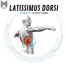 Muscle Myths On Instagram Latissimus Dorsi Mobility Variations This Mobility Series Incorporates Some Myofascial Release Myofascial Latissimus Dorsi