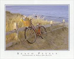 Amazon.com: Buyartforless Beach Petals by Marcia Joy Duggan 20x16  Photograph Art Print Poster Beach Ocean Seaside Red Bicycle Flowers Basket  Bike Dunes Fence: Posters & Prints