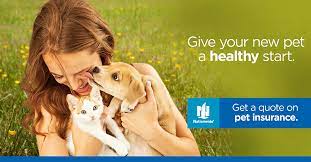 It's not easy for a pet parent to refuse the treatment their pet needs because of cost. Pet Insurance Veterinarian In Phoenix Az Camelback Animal Clinic