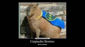 Envenenaron a pancho, el carpincho de una nena de ocho años que se lo quería llevar la gendarmería. Boca Yo Te Amo Saturado Youtube