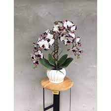 Gubahan bunga orkid meja bulat. Buy Gubahan Bunga Orked Hiasan Seetracker Malaysia