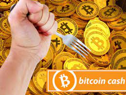 If you took $1 and put 99 cents of it in cash and a penny in bitcoin, that investment strategy would have. Bitcoin Cash Bcha Kampft Ums Uberleben