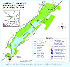 In addition, the bashakill fishing platform allows for casting right at the water control structure for the wetland where it flows into the stream. Basha Kill Wildlife Management Area Maplets