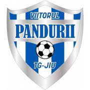 Aici cred că a greșit. Acs Viitorul P Targu Jiu Vereinsprofil Transfermarkt