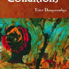 The novel talks about the situation of african women and the predicaments they have to face on a daily basis. 1