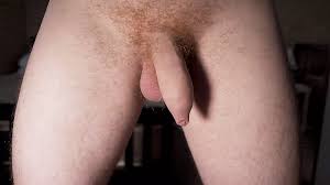 Free Gay Cam To Cam Porn Videos: Gay 720p HD XXX 2025 | xHamster