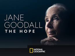The story of one remarkable woman who became a global icon in animal welfare and conservation who not only hoped for a better world, she achieved it! Watch Jane Goodall The Hope Season 1 Prime Video