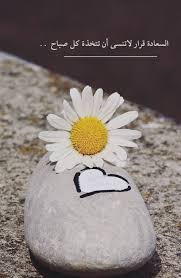 السعادة قرار arabic quotes book qoutes arabic love quotes
