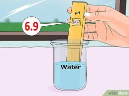 نتیجه جستجوی لغت [acidify] در گوگل