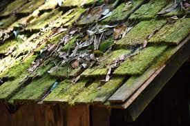 Peat moss is not bad. Issues With Moss Of Your Roof Rotban Blog Rotban Vancouver Surrey