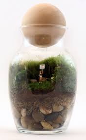 Gentle Reminder 75 From Twig Twig Terrariums How To Make Terrariums Terrarium
