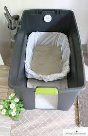 It's very absorbent and affordable, especially. Pin On Cat Litter Box Ideas Tips