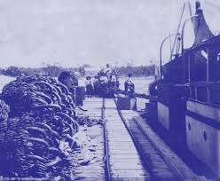 Kendon charles trinidad steel band. Banana Boat Day O By Harry Belafonte Restored Mp3 Marine Cafe Blog