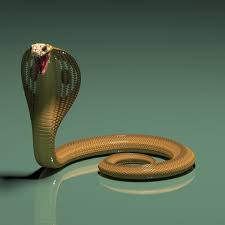 Artstation The 3d Model Of King Cobra Stephan Plotnicov Cobra Snake King Cobra Snake Cobra Tattoo