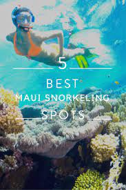5 Of The Best Maui Snorkeling Spots Maui Vacation Maui Snorkeling Maui Snorkel Spots