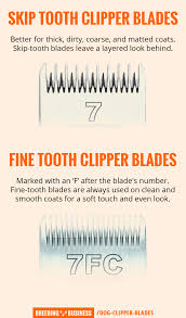 Buying Dog Clipper Blades All The Different Blades For Dog