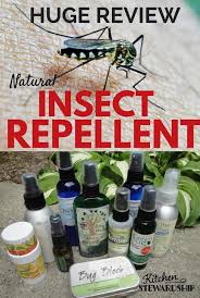 It is hard to find natural pest control options that work. The Best All Natural Bug Spray