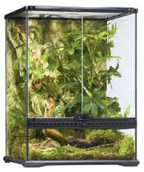 Exo Terra Glass Terrarium 18 By 18 By 24 Inch Terrarium Reptiles Rainforest Habitat Reptile Enclosure Habitats