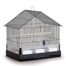 Bird Cage Seed Guard Acrylic Uk House Style Cockatiel Cage You Can Get More Details By Clicking On The Image Note It Is Affiliate Link To Amazon Cockatiel Cage House Styles Cages For Sale