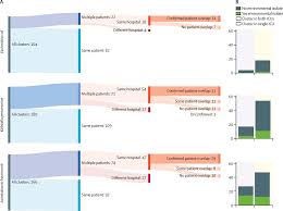 Image result for Striga baumannii
