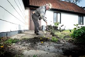 نتيجة بحث الصور عن ‪åhus avföring‬‏