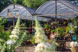 12 $$ moderate florists, floral designers. Products Rcb Gardens