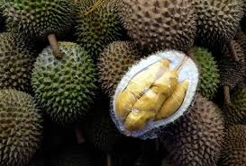 Daging buah musang king memiliki ciri khas antara lain dagingnya yang berwarna kuning, teksturnya lembut creamy dan tidak berserat. Pin On Brainfood