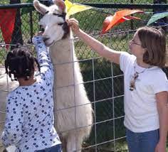 Maybe you would like to learn more about one of these? Petting Zoo Parties Traveling Mobile Petting Farm Party Pennsylvania Pa