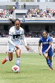 Fue fundado en el año 2016. Club Universidad Nacional Femenil Wikipedia La Enciclopedia Libre