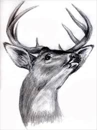 Pencil drawing a beautiful picture simple and easy youtube. 24 Free Deer Drawings Designs Free Premium Templates