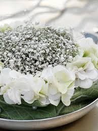 These are thirsty cut flowers, so keep an eye on the water level and refill when necessary. Growing Great Cut Gypsophila Crops Greenhouse Canada