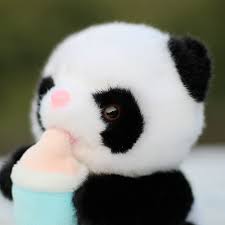 Here are pictures of baby pandas that will make your day brighter. Baby Panda Toy With Milk Bottle 5 5 Cute Baby Panda Stuffed Animal