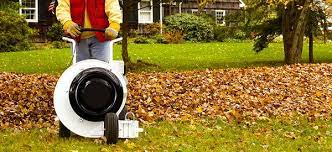 Benefits Of A Leaf Blowing Service Redbeacon Garden Shrubs Lawn And Landscape Shrubs